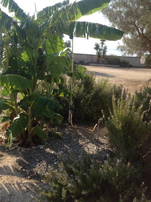 House By The Sea At Skaloma, Loutraki Villa Vouliagmeni Lake Bagian luar foto