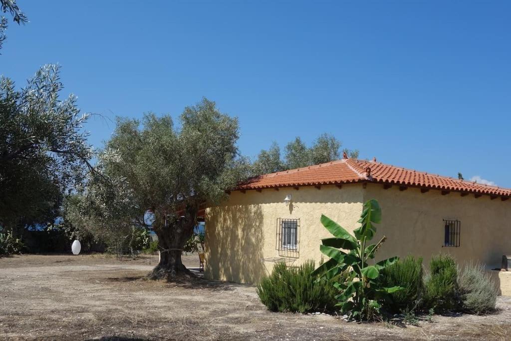 House By The Sea At Skaloma, Loutraki Villa Vouliagmeni Lake Bagian luar foto